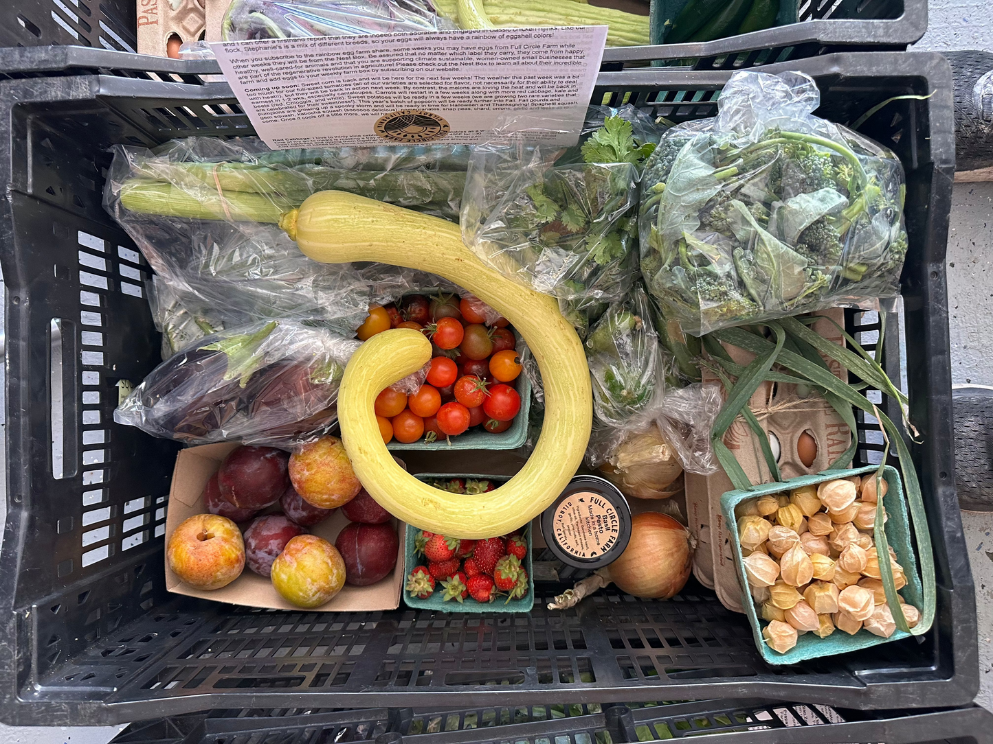 Harvest - Weekly Produce Share (Gilroy Pickup)