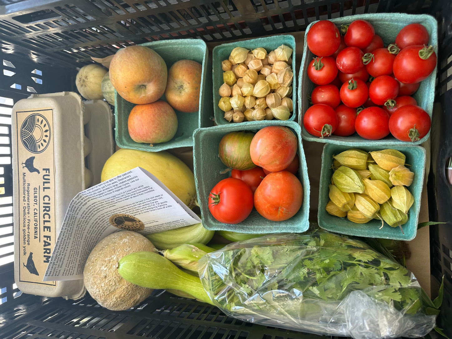 Harvest - Weekly Produce Share (Gilroy Pickup)