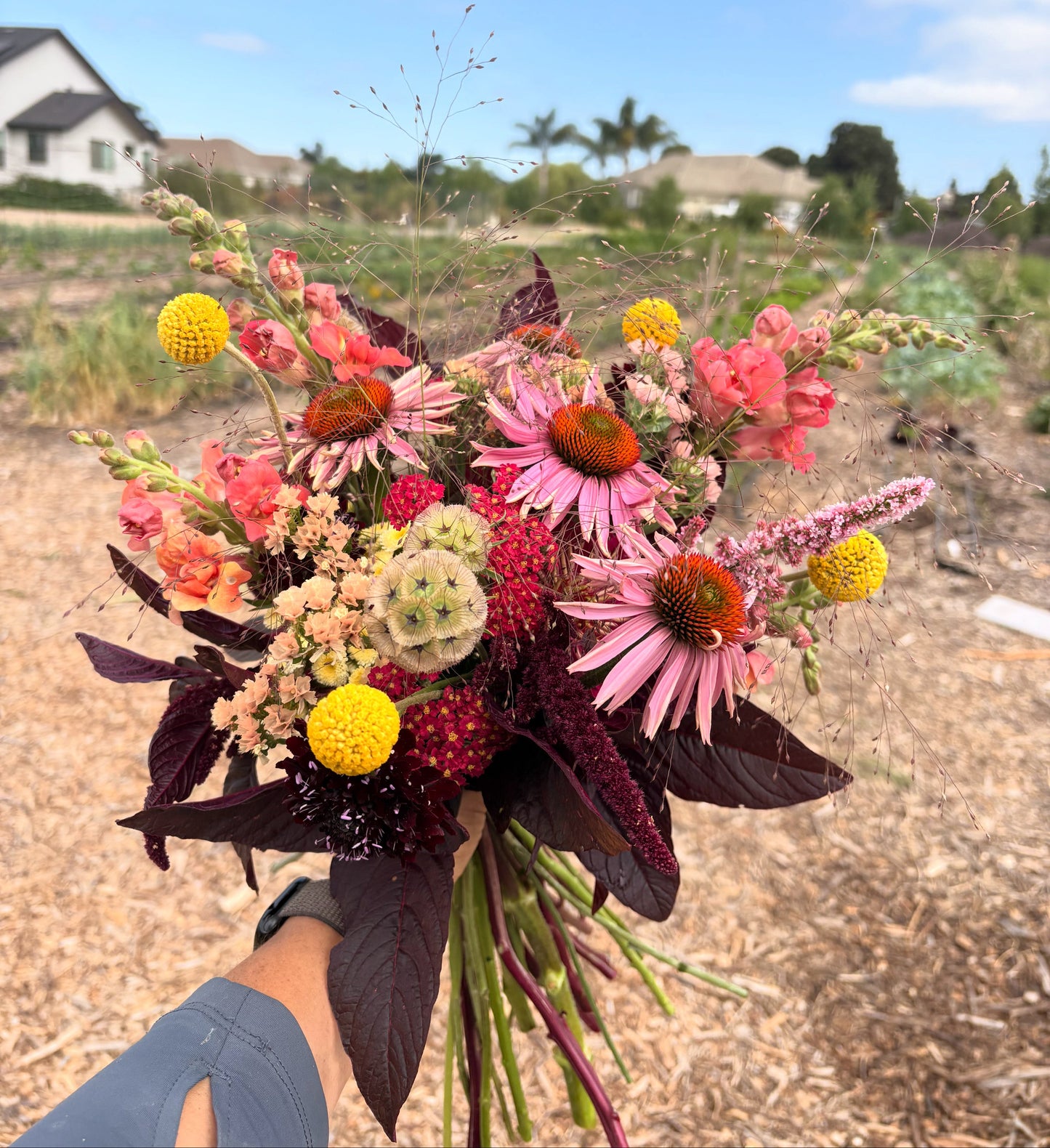 Bloom - Weekly Floral Share (Trestle Glen Pickup)