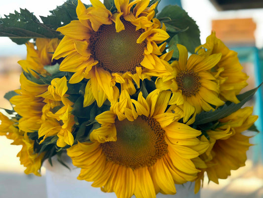 Bloom - Floral Share (Weekly subscription and one-time purchase) image 2