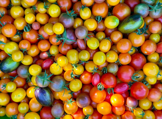 🍅Tomato booster🍅 (Trestle Glen Pickup)