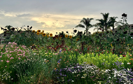 Regenerative Farm Taste & Tour