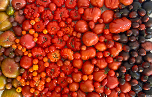 🍅Tomato booster🍅 (CRC Pickup)