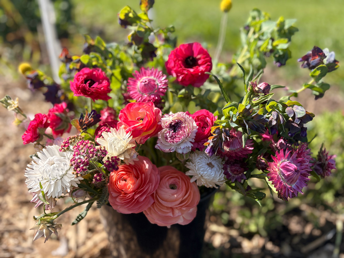 Fresh-Cut Local Flower Bouquets (CRC Pickup)