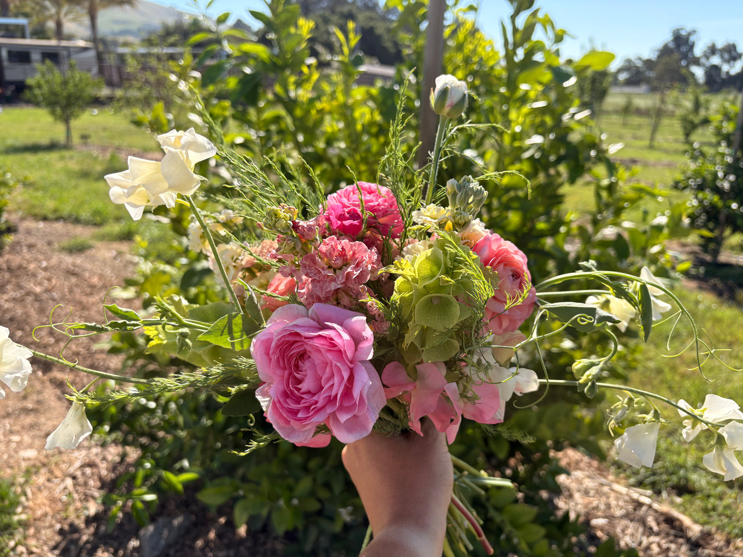 Fresh-Cut Local Flower Bouquets (CRC Pickup)