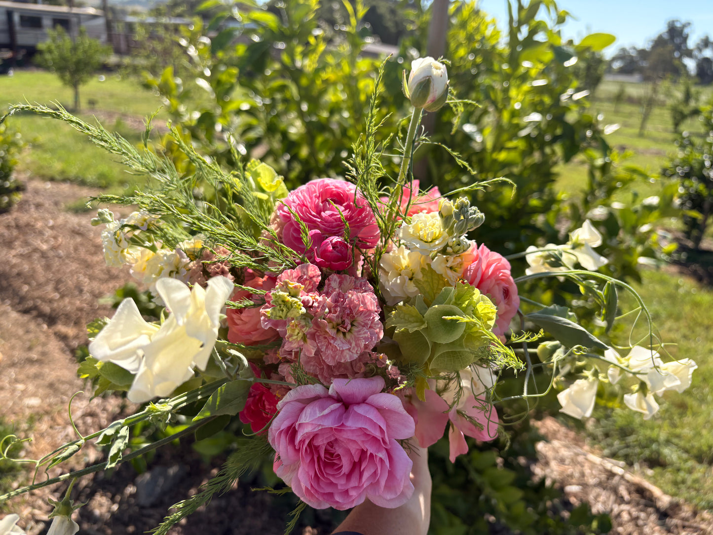 Bloom - Weekly Floral Share (Gilroy Pickup)