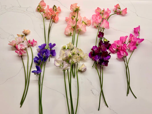 Sweet peas (bunch)