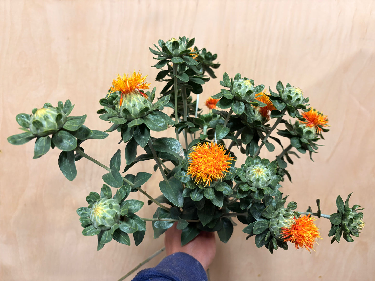 Safflower (bunch)