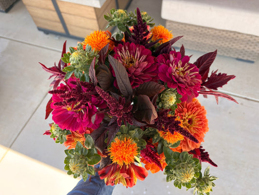 Bloom - Weekly Floral Share (Gilroy Pickup)